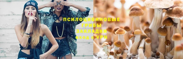 spice Остров