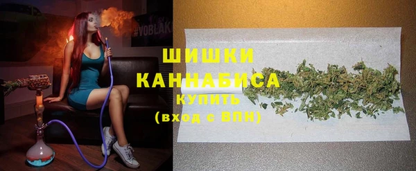 гидра Пестово