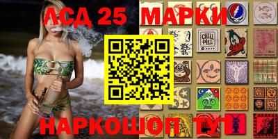 стафф Аргун