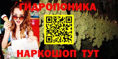 стафф Аргун