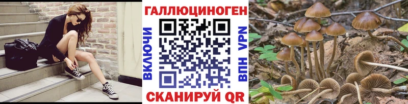Псилоцибиновые грибы Cubensis  Аша 