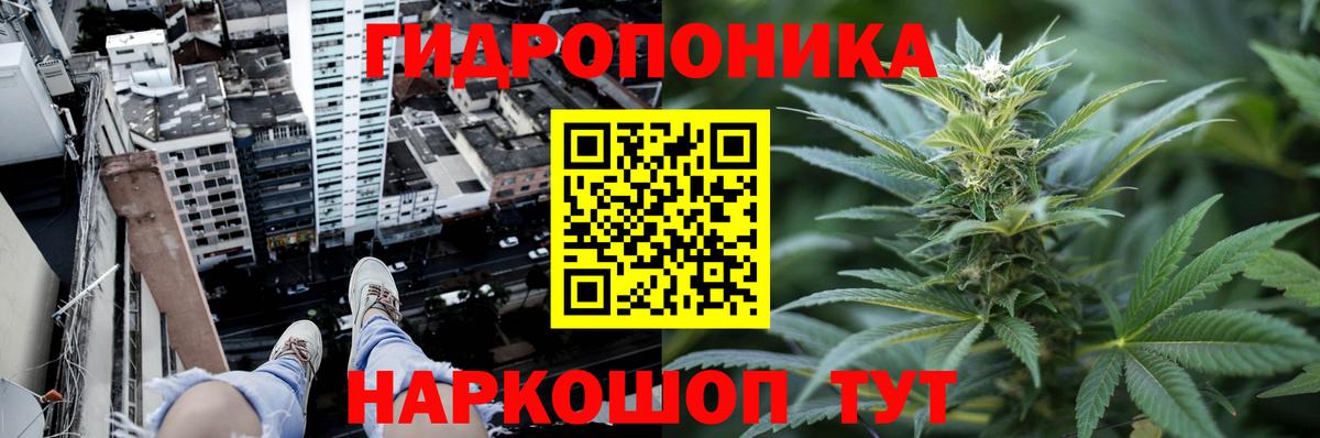 Бошки марихуана конопля Аша